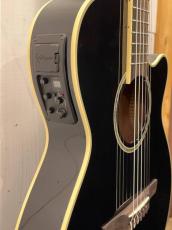Takamine TSP100 -KT-N- 【無金利分割OK】【送料込み】_4