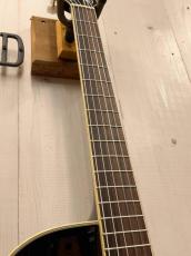 Takamine TSP100 -KT-N- 【無金利分割OK】【送料込み】_5