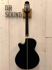 Takamine TSP100 -KT-N- 【無金利分割OK】【送料込み】_8