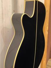 Takamine TSP100 -KT-N- 【無金利分割OK】【送料込み】_9