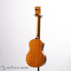 Craft Musica Concert Honduras Mahogany_12