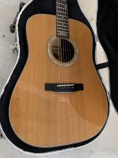 Morris M-1003 LTD 1999年製 シダー単板トップ ハカランダ/栃/ハカランダ 3Pバック!_2