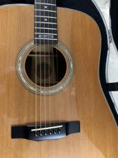 Morris M-1003 LTD 1999年製 シダー単板トップ ハカランダ/栃/ハカランダ 3Pバック!_3