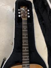 Morris M-1003 LTD 1999年製 シダー単板トップ ハカランダ/栃/ハカランダ 3Pバック!_5