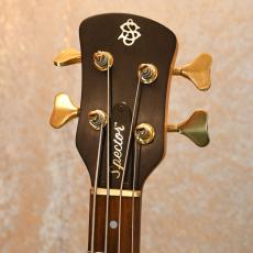 Spector NS-2_3