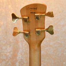 Spector NS-2_4
