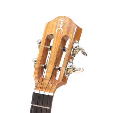 aNueNue Hawaiian Koa Series aNN-AKK2_6