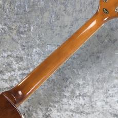 Epiphone Les Paul Standard 50s Plain Top ~Goldtop~ #25031528547【3.98kg】_8