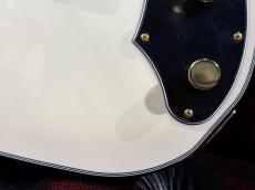 Psychederhythm Hollow T-Line ~Warm Gray Burst~[6本限定製作] 約2.82㎏_7