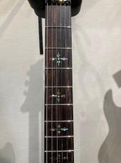 SCHECTER HELLRAISER AD-C-1-FR [Black Cherry]_4