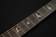 Paul Reed Smith [PRS] SE Custom24 Blue Matteo 2025【現物画像】_8