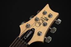 Paul Reed Smith [PRS] SE Custom24 Blue Matteo 2025【現物画像】_8