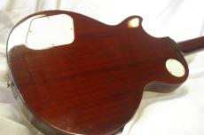 Epiphone Les Paul Standard "Mod"_3