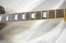 Epiphone Les Paul Standard "Mod"_5