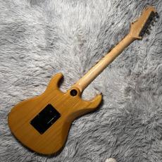 FREEDOM CUSTOM GUITAR RESEARCH Hydra Classic 2Point Natural Ash【現物画像】10/12更新_7