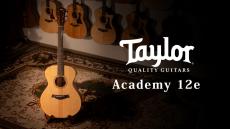Taylor Academy 12e 【Taylor公認 リペアマン在籍店】