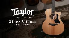 Taylor 【試奏動画有】314ce V-Class 【Taylor公認 リペアマン在籍店】