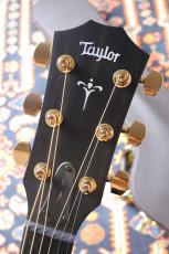 Taylor 【オールハワイアンコア】724ce V-Class #1208224087【送料当社負担・最大48回無金利】_6