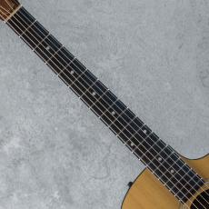 Taylor 114ce ES1 2011_6