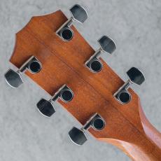Taylor 114ce ES1 2011_9