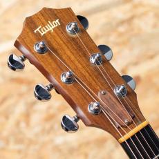 Taylor 310 1998_8