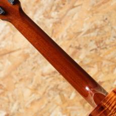 Kamaka HF-3 Tenor 2008_7