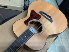 ARIA ABM-500 アコースティックベース_4