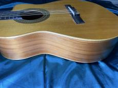 AVALON GUITARS Golden Gate Jazz nylon string_8