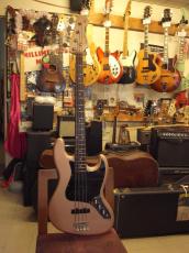 Seymour Duncan DJ-180_2