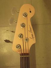 Seymour Duncan DJ-180_6