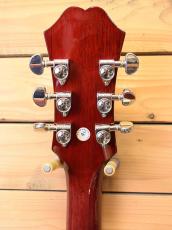 Epiphone Hummingbird HS_4