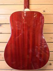 Epiphone Hummingbird HS_5