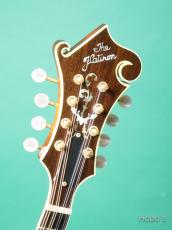Flatiron F-5 Artist_3