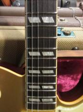 BRUNO TN-295_5