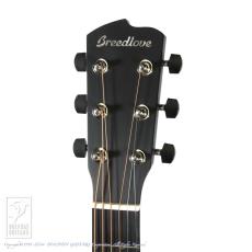 Breedlove Oregon Concertina Stormy Night CE_7