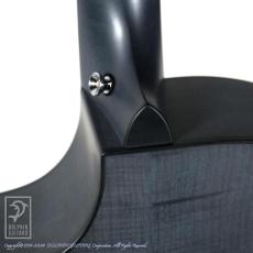 Breedlove Oregon Concertina Stormy Night CE_10