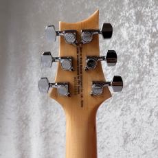 Paul Reed Smith [PRS] SE-Custom24 Quilt Package_5