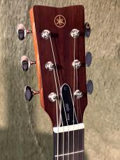 YAMAHA 【Made in Japan!】FSX5【エレアコ】【オール単板】_5