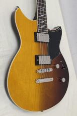 YAMAHA RSS20 SSB_3