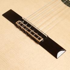 ARIA A-200S_3