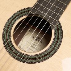 ARIA A-200S_4