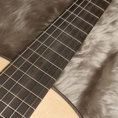 ARIA A-200S_6