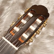 ARIA A-200S_8