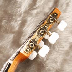 ARIA A-200S_9