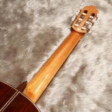 ARIA A-200S_10