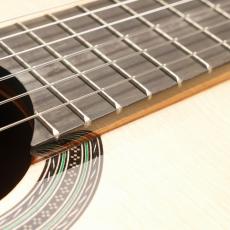 ARIA A-200S_13