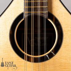 Voyager Guitars Irish Bouzouki_4