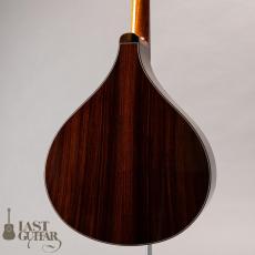 Voyager Guitars Irish Bouzouki_9