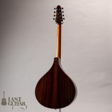 Voyager Guitars Irish Bouzouki_12