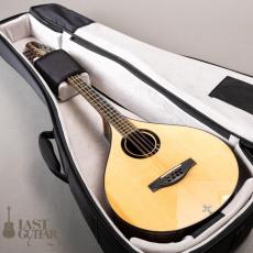 Voyager Guitars Irish Bouzouki_13
